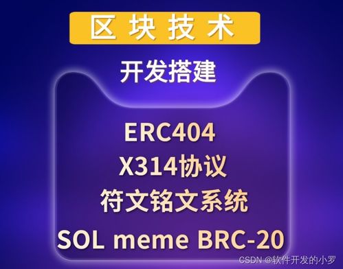 区块链核心技术开发全栈实践 从x314协议到智能合约与公链搭建