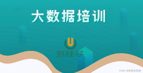 零基础入门大数据开发技术 从构建知识体系到实战的完整路径